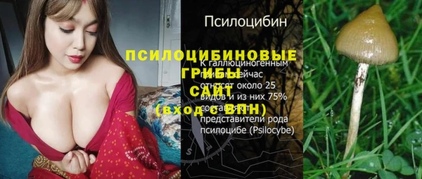 COCAINE Алексеевка
