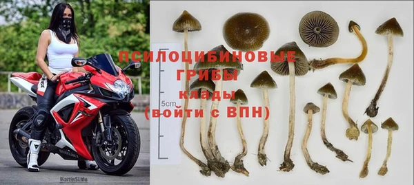 герыч Алексин