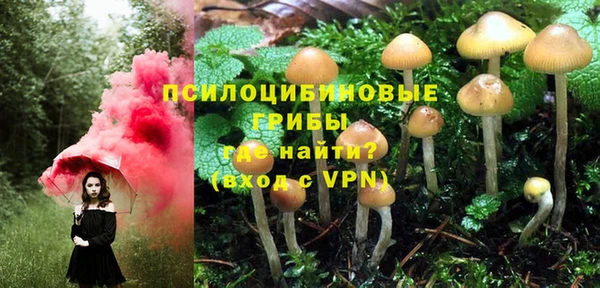 каннабис Алзамай
