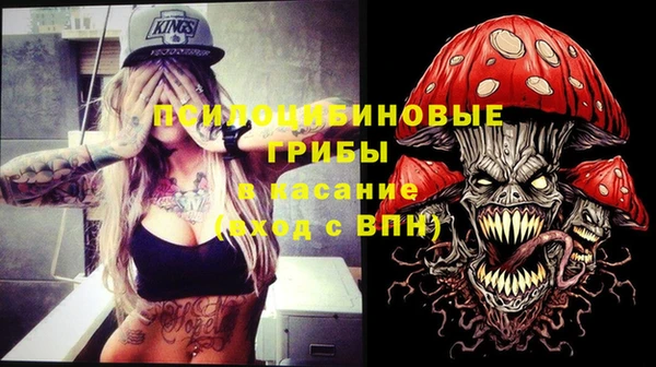 герыч Алексин