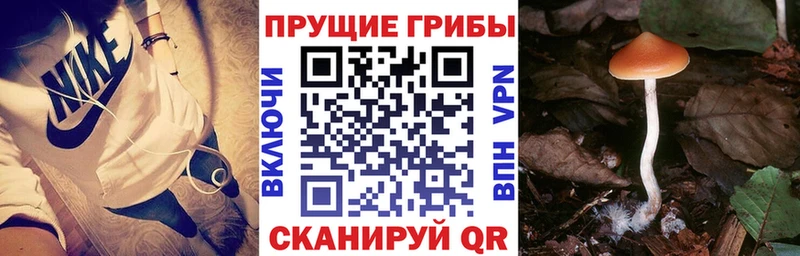 Галлюциногенные грибы GOLDEN TEACHER  Невинномысск 